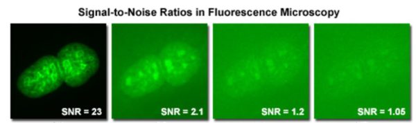C11) Signal to Noise Ratio (SNR) - Scientific Imaging, Inc.