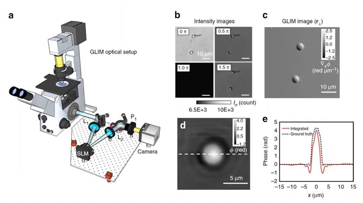 M13) Quantitative Phase Imaging Microscopy [QPI] - Scientific Imaging, Inc.