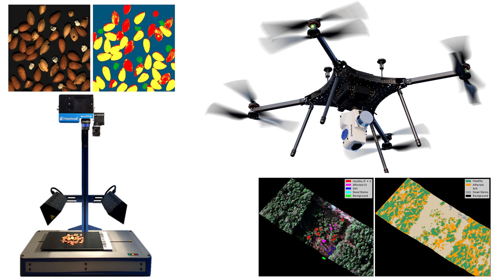 Category Image Hyperspectral Imaging